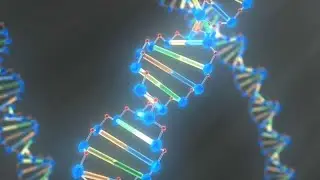 DNA Music   Dr  Malachi Z York