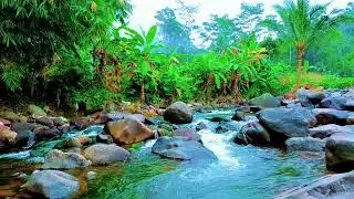 Peaceful River Flow &ndash; Relaxing Nature Sounds for Deep Sleep & Calm Mind