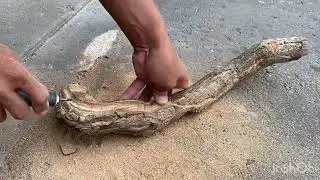 How to make a Tanuki Bonsai