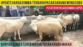 ОБЗОР ЦЕН НА МЕРИНОСОВЫХ КОЗ И ОВЕЦ ДОМБО НА РЫНКЕ ГАРУНГ, ВОНОСОБО//SUPER2 И ЦЕНА ДЕШЕВАЯ