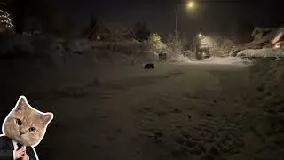 TRX-4 ford bronco running in the snow 