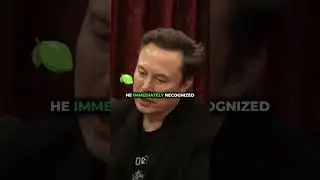 Rogan On Dicaprio Dating 19 Year Olds