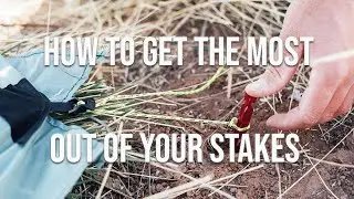 How To get The Most Out Of Your Stakes