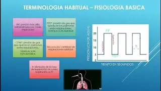REANIMACIÓN NEONATAL. CAPITULO 4.1: VENTILACIÓN A PRESIÓN POSITIVA (PARTE 1)