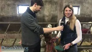 Mit Alpakas auf Tuchfühlung - Oldenburg Alpacas