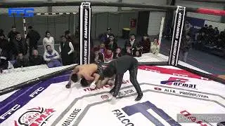 FFC 31 GLOBAL 6