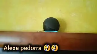 Le pido a Alexa que se tire un pedo y este es el resultado #risas #fart #pedos