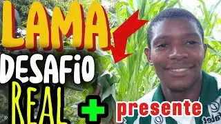  Enfrentei Lama e Ganhei um Presente Especial! 🙏*  Mostrei Como Comprar Energia em Moçambique ⚡🇲🇿*