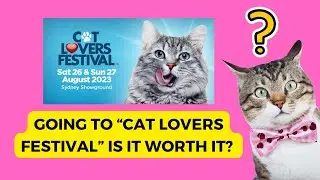 Cat Lovers Festival in Sydney 2023 - Was it worth it?
