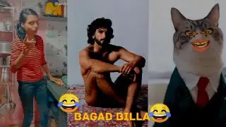 Bagad Billa funny video 😂\\ Bagad BILLA funny reels 😂\\ Ankit .Ang Funny Cat Video \\#comedy