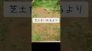 枯れた芝生を手っ取り早く元通りにするには！ #庭師のvlog