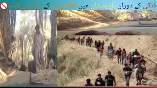 The way to illegally going from Pakistan🇵🇰 to Europe | Migration Route's🚫 