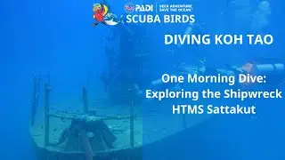 Koh Tao Scuba Diving. One Morning Dive: Exploring the Shipwreck HTMS Sattakut