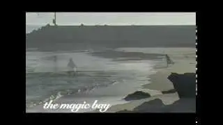 Classic longboard - pink nose Takayama