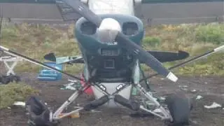 bear destroys aircraft