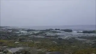 Schoodic Peninsula, Maine - Low Tide