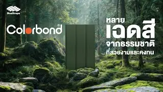 COLORBOND&reg; steel ที่สุดของความเชื่อมั่น -- สีสันจากธรรมชาติ
