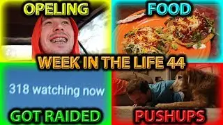 300+ CONCURRENT VIEWERS ON STREAM!! IT WAS LIT!! | WEEK IN THE LIFE 44 | GUNNERS ALIVE