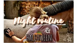 Vlog schleich - night routine spéciale -