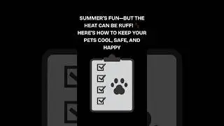 Summer Pet Care Tips You Shouldn't Miss!🤞📢