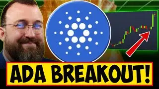 Неужели ADA вот-вот вырастет в 3 раза?🤯 Прорыв Cardano + катализатор NIGHT Token: объяснение.