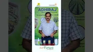 #Coromandel #Adhiraj #Neemproduct #comparison  #Video #managromor #mygromor