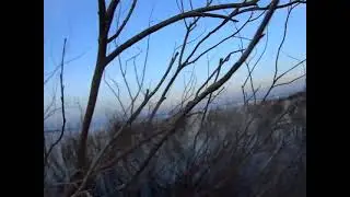 одна утка и 1 гусь,саня вышел из палатки по нужде,и добыл гуся в 5 или 6 утра),гусь летел высоко