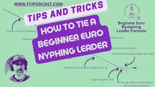 How to Build a Euro Leader