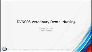 DVN005 Dental Veterinary Nursing - Practical Workshop - Dental Chart