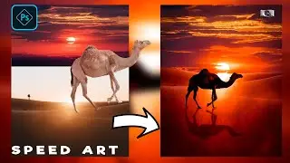 Desert camel speed art |Photoshop manupulation | Beeafter photos