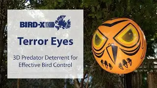 Terror Eyes: 3D Predator Deterrent for Effective Bird Control