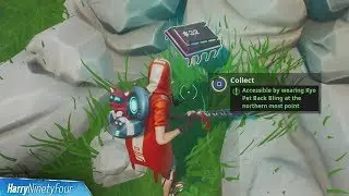 Fortbyte #32: Accessible with Kyo Pet Back Bling at Northern Point Location Guide - Fortnite