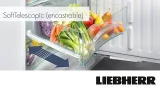 Caract&eacute;ristiques Liebherr - SoftTelescopic (encastrable)