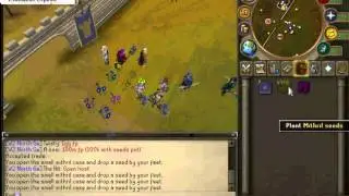 100k Mith Seed Pot@Twisty fc!! This is to funny!