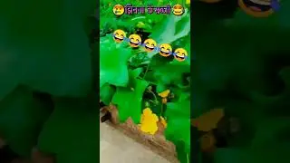 jhinga ki sabji #love #funny