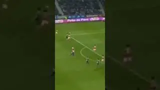 Loudest crowd roar