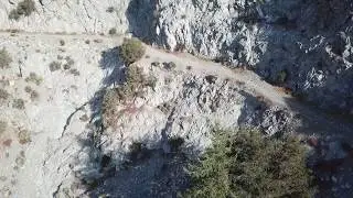 Mt Lowe Road