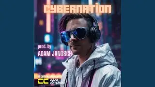 Cybernation