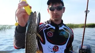 Ловля щуки и окуня на воблер SPRUT ASABA. Kamfish