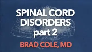 spinal cord disorders part 2