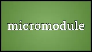 Micromodule Meaning