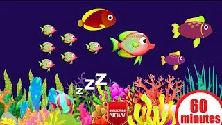 Mozart Brahms Lullaby & Calming Undersea Fish aquarium Relax Music # Nice Lullaby