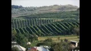 Calarasi Калараш Calarache