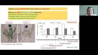 3&deg; Coloquio RNyE UAGro. Los parientes silvestres de las plantas cultivadas.