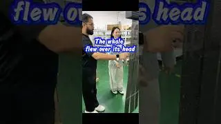 LED transparent display manufacturing factory, each one is the cost price #leddisplay #ledlights#led