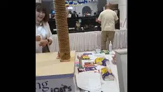 Kontes kucing Internasional  di Jakarta