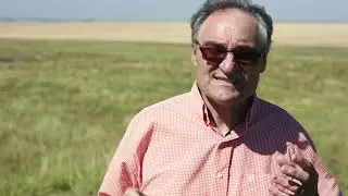 Union Forage 2020 Virtual Field Day - Choosing Forages