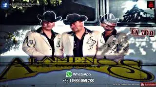 Domingo Corrales [En Vivo F.P.] .- Alameños De La Sierra