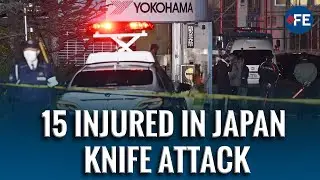 Japan Factory STABBING: 15 Injured In Knife Attack At Rubber Plant | Suspect Arrested