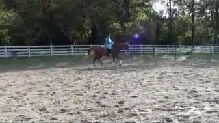 Lukamotion Over Fences